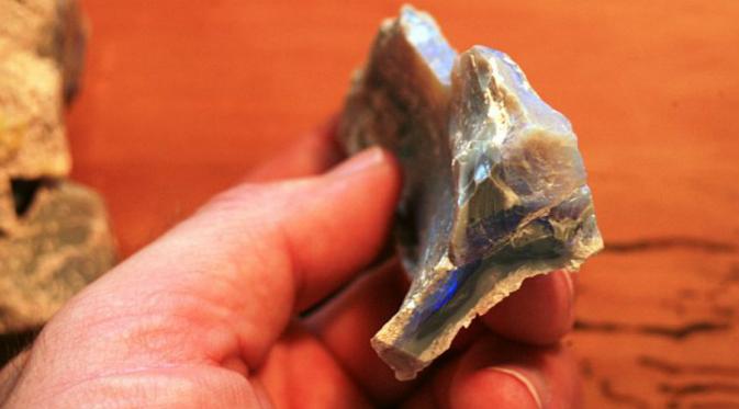 salah satu potongan tulang dinosaurus 'cakar petir'. (University of New England)