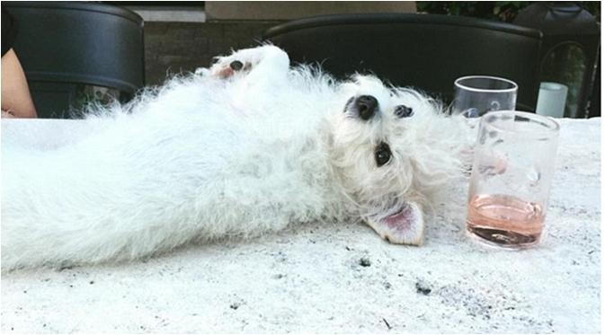 Postingan Kaley Cuoco setelah pengumuman perceraian (via dailymail.co.uk)