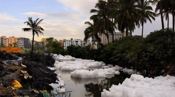 Foto-foto 'Salju' dari danau di Banglore India (BBC/Debasish Gosh)