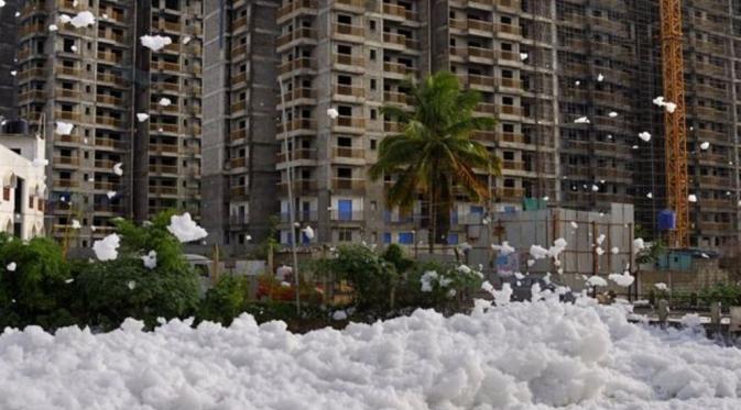 Foto-foto 'Salju' dari danau di Banglore India (BBC/Debasish Gosh)