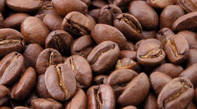 Dairi terkenal dengan kopinya yang sudah mendunia yakni Kopi Sidikalang. Potensi ini harus terus sama-sama kita pertahankan dan kembangkan
