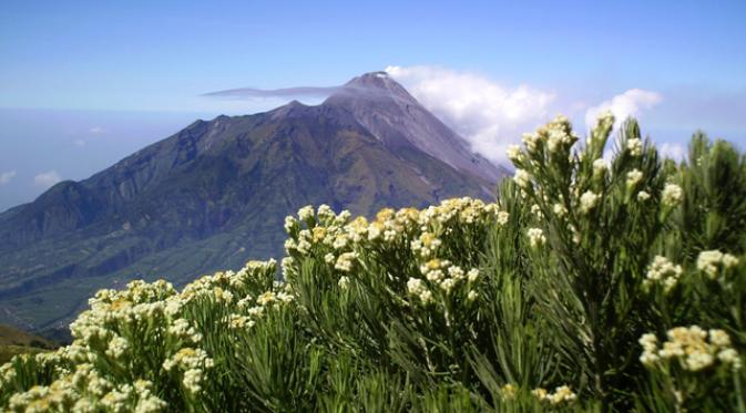 Gunung Merbabu. | via: ruliamrullah.wordpress.com