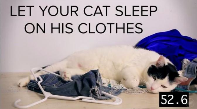 Membiarkan kucingmu tidur di atas pakaiannya | via: youtube.com