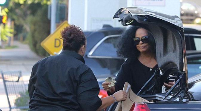 Diana Ross (via dailymail.co.uk)