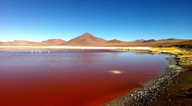 Laguna Colorada, Bolivia. | via: Getty Images