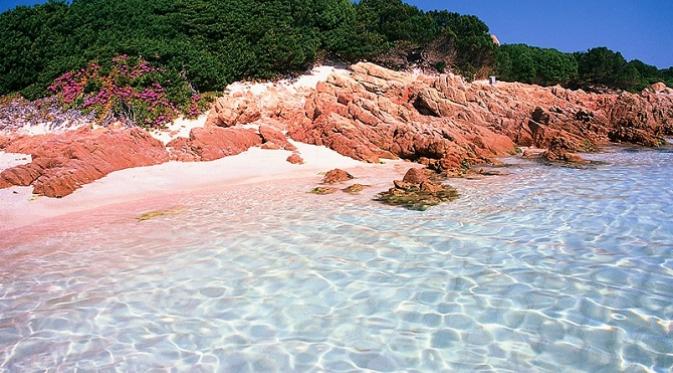 Spiaggia Rosa Budelli, Italia. | via: lazypenguins.com