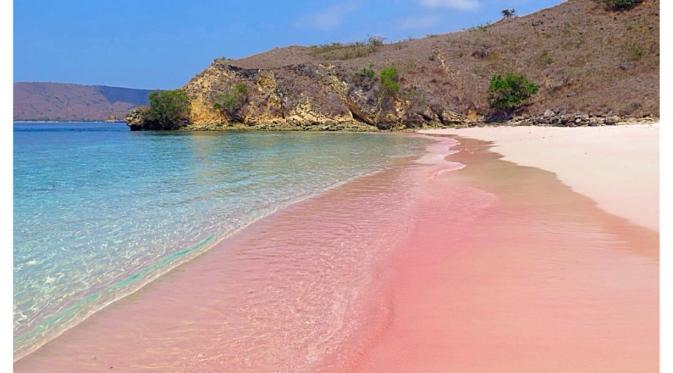 Pantai Pink, Komodo, Indonesia. | via: trover.com