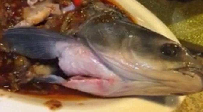 Seekor ikan masih bisa menggoyangkan siripnya meski sudah direbus dan disiram saus. What the?