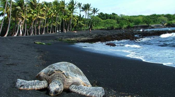 Punaluu, Hawaii. | via: shop.sorellaswim.com