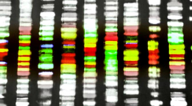 Kalau masih penasaran dengan orientasi seksual, kini ada uji DNA untuk memperkirakannya. Kenapa bisa?