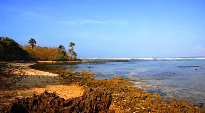 Pantai Plengkung menjadi surga bagi pecinta olahraga selancar.