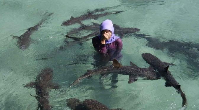 Pulau Menjangan Besar, Karimunjawa. | via: wisata.eu