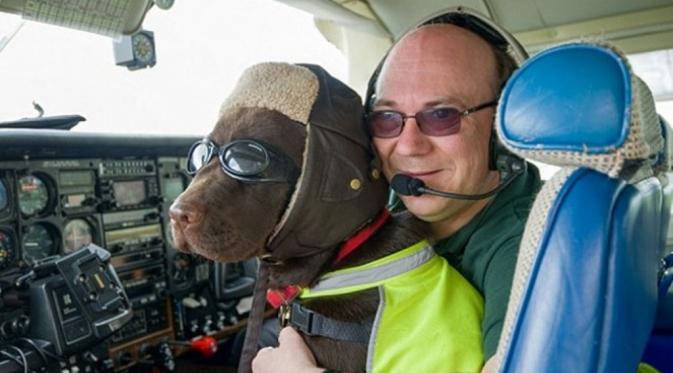 Namanya Kelly, pemiliknya Abraham yang juga seorang Pilot mengurus surat izin terbang untuknya sebagai Co-Pilot sejak usianya 3 bulan. (Via: dailymail.co.uk)