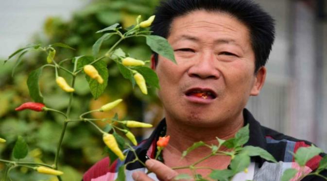 Di perkarangan rumahnya, Li menanam 8 macam cabai dari seluruh dunia (Shanghaiist)