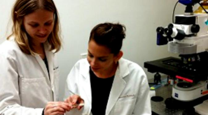 Pada pengujian mikroskopik, peneliti Simone Mader (kiri) dan Lior Brimberg menemukan perbedaan menyolok antara jaringan otak tikus jantan selama dalam kandungan terpapar kepada antibodi yang terkait dengan autisme pada manusia. (Sumber Naveed Ahmed)