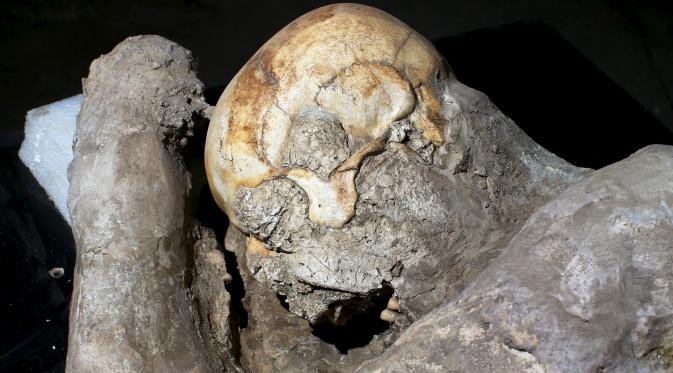 Fosil tengkorak korban Pompeii ditemukan oleh apara arkeolog, Napoli, Italia, Selasa (13/10/2015). Para ilmuwan menggunakan sebuah alat seperti CT scan untuk mengetahui bentuk utuh para korban letusan gunung Vesuvius. (REUTERS/Alessandro Bianchi)