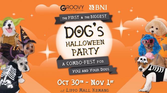 Punya anjing keren tapi gak pernah diikutin event? Fail! Nih ikutan Dogs Halloween Party 2015!
