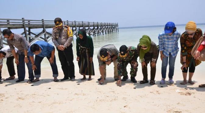 Melepas tukik anak penyu di Pulau Cangke (Eka Hakim/Liputan6.com)