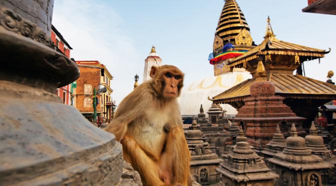 Swayambhunath. | via: blogs.discovermagazine.com