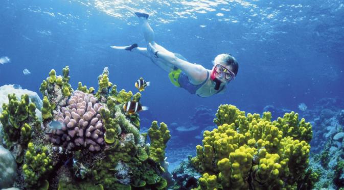 Greet Barrier Reef sebelum pemanasan global. | via: businessinsider.co.id