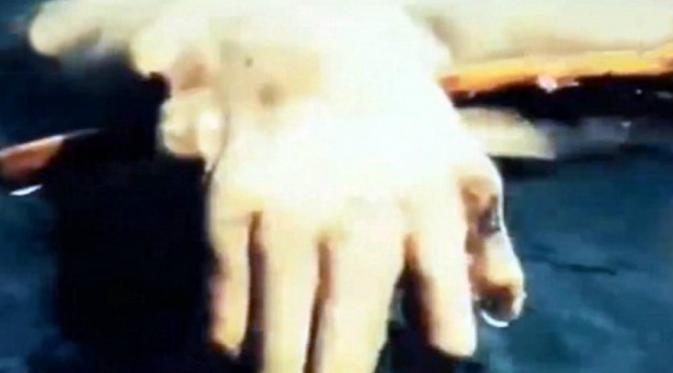 Dalam video, makhluk tersebut tampak memiliki tangan seperti manusia. 