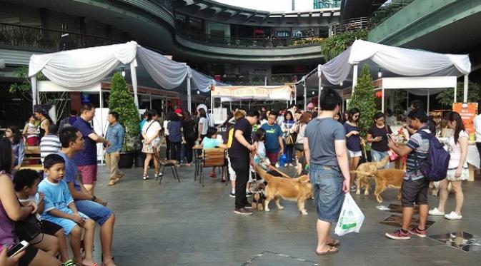 Suasana kumpulan komunitas anjing yang turut merayakan Halloween di Lippo Mall Kemang, Jakarta, Sabtu (31/10)
