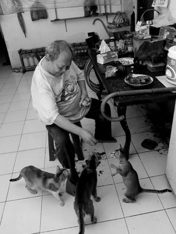 Pak Raden bersama kucing-kucingnya (via Facebook.com/Toto Santiko Budi)