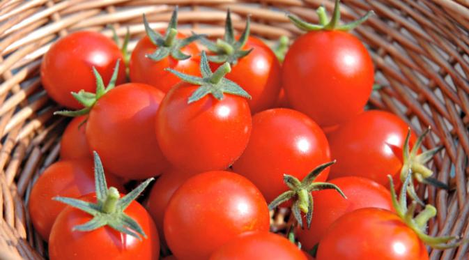 Suatu jenis tomat baru mengandung begitu banyak gizi yang diperlukan untuk kesehatan.