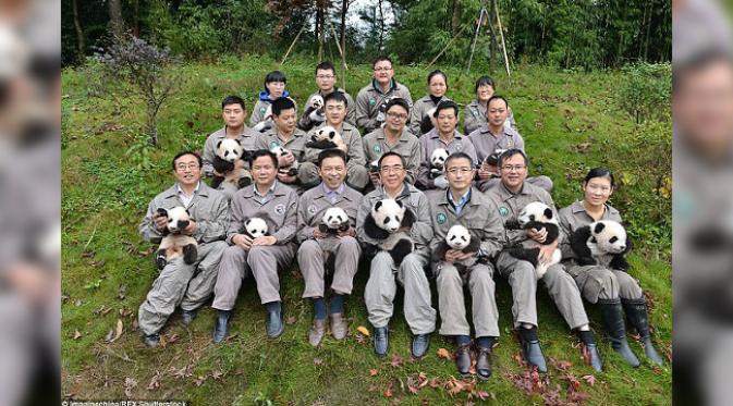 Para anak panda ikut 'foto keluarga'. (foto: Imagine China)