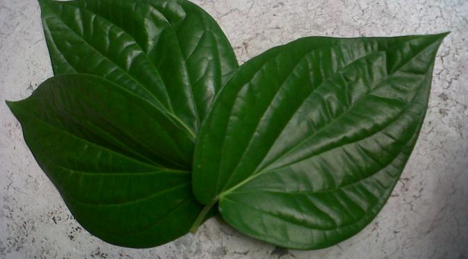 Keputihan Tidak Normal? 5 Hal Ini yang Harus Kamu Lakukan | via: daunsirih.com