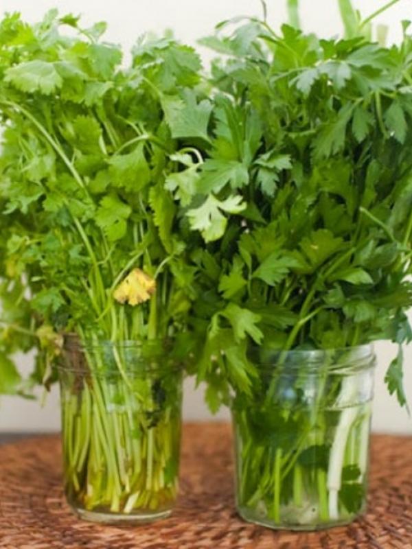 Simpan sayuran dalam air agar tetap segar. Menyimpannya dalam kulkas tak selamanya jadi ide yang baik. (Via: cooksmarts.com)