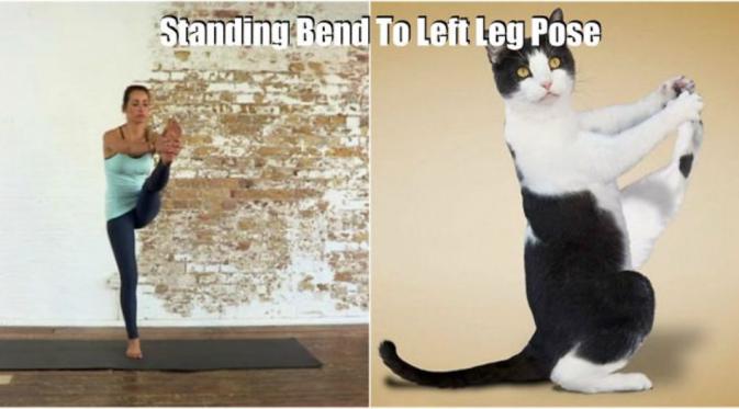Standing bend to left leg. (Via: boredpanda.com)