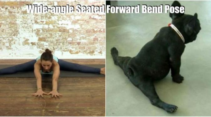 Wide-angle seated forward bend. (Via: boredpanda.com)