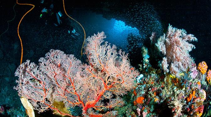 Tak hanya cantik, Laut Banda pun menyimpan misteri palung laut terdalam yang ada di Indonesia.
