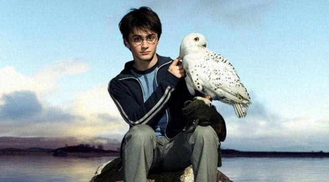 Penampilan Daniel Radcliffe di film Harry Potter. Foto: via irishexaminer.com