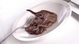 Tapeworm diet| via: zliving.com
