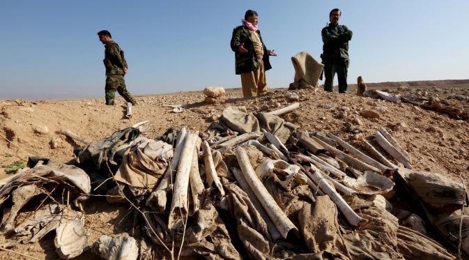Tulang belulang terlihat di sebuah kuburan massal yang diduga lokasi makam anggota Yazidi Irak di pinggiran kota Sinjar, 30 November 2015. Pasukan Kurdi menemukan kuburan ini usai berhasil merebut kembali kota Irak dari militan ISIS. (Reuters/Ari Jalal)