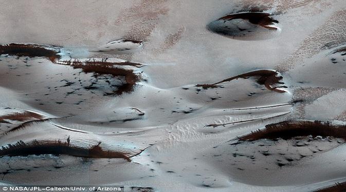 Pasir Mars yang seolah memperlihatkan sekumpulan pohon (Doc: Daily Mail)