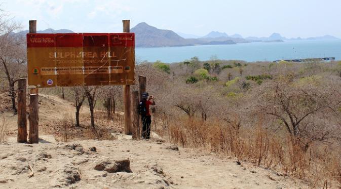 Sulphurea Hill merupakan bukit di Pulau Komodo yang menjadi habitat asli burung Kakaktua.