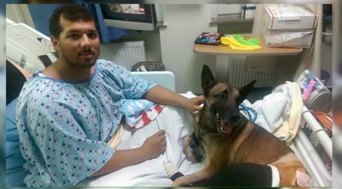 seekor anjing militer dan pawangnya berbagi ranjang di rumah sakit setelah terkena serpihan bom meledak di Afghanistan. (Buzz Feed)