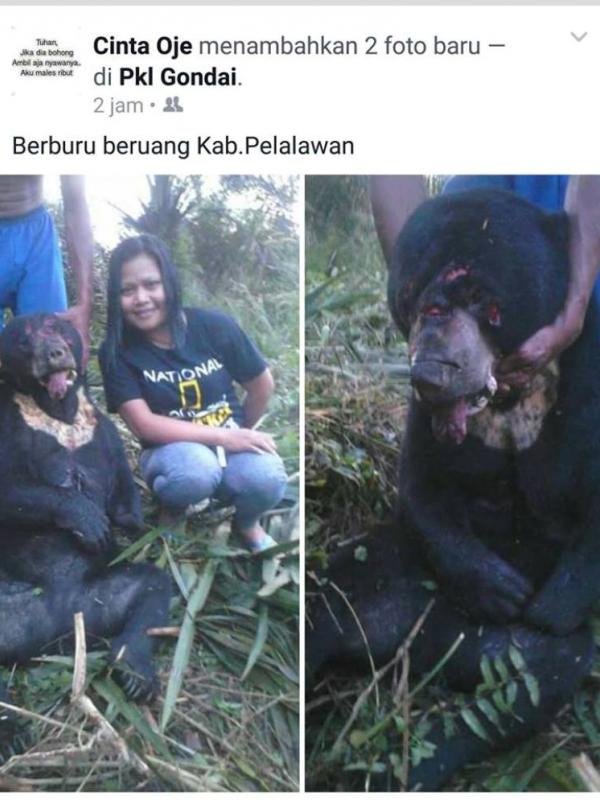 Mengenakan kaos National Geographic tapi suka memburu binatang yang dilindungi, netizen meminta wanita ini segera dihukum.
