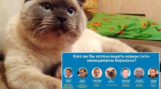 Gemas dengan Politisi Korup, Warga Calonkan Kucing jadi Walikota (Guardian)