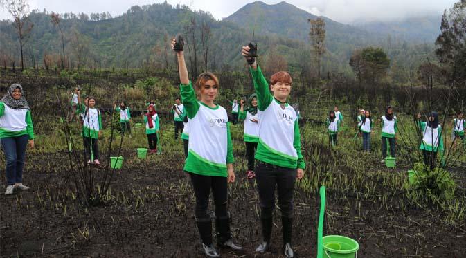 Djarum Foundation menanam 6.666 bibit pohon cemara gunung di Gunung Ijen.