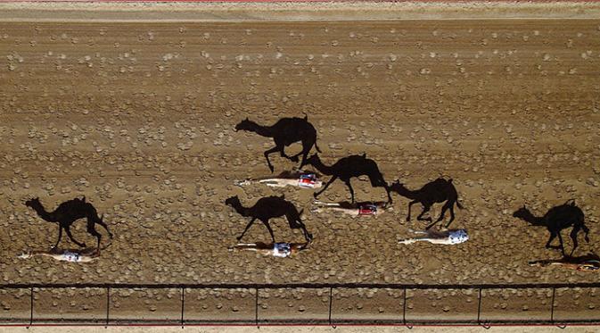 Al Marmoun Camel Racetrack, Dubai, Uni Emirat Arab. (Via: Dronestagr.am)