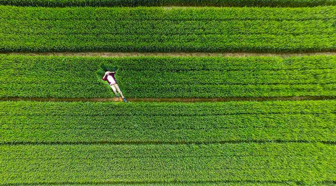 Xiwei Reservoir, Zoucheng, Shandong, Cina. (Via: Dronestagr.am)