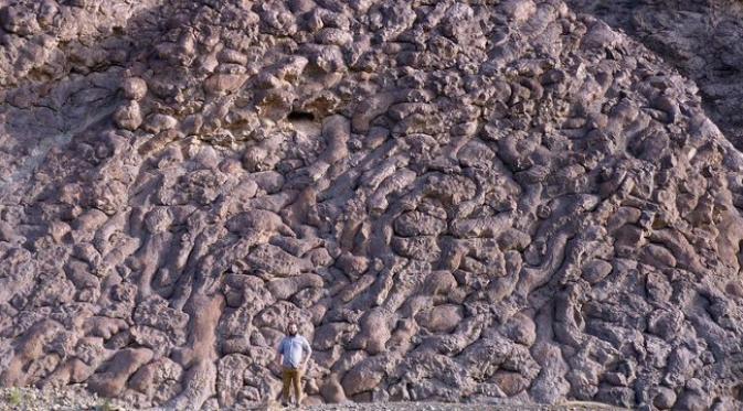 Formasi lava 'bantal' terbentuk di bawah air yang mendinginkan lava dan membentuk lapisan cangkang. foto: Amusing Planet)