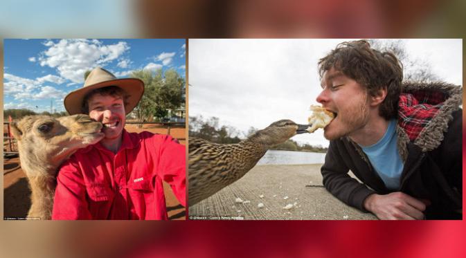 Allan 'bermesraan' dengan unta dan makan bersama bebek. (foto: Daily Mail/Allan Dixon)
