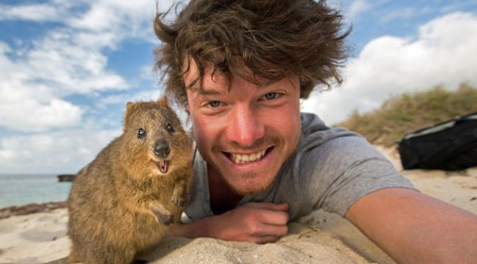 Allan Dixon dan quokka, binatang khas Australia selain Kanguru. (Via: theguardian.com)