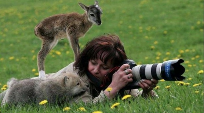Tubuh fotografer hewan bagaikan batang kayu paling nyaman untuk dihinggapi hewan jenis apapun saking friendly-nya. (Via: vespig.wordpress.com)