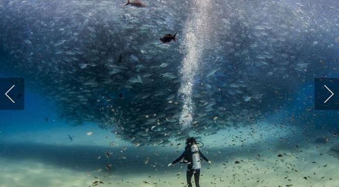 All the Fish in the Sea by Jeff Hester. (Via: photography.nationalgeographic.com)